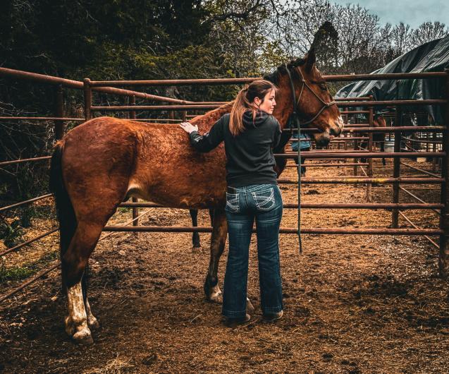 A woman facing away from the camera, standing next to and petting her brown horse inside of an outdoor pen, with pine trees behind them. 