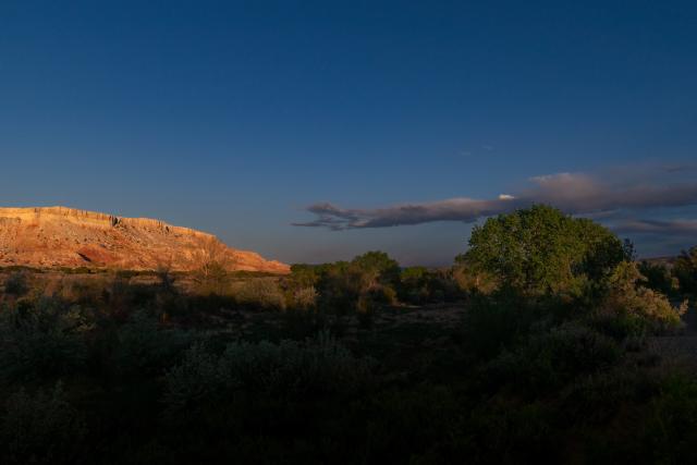 A stand of shrubs and trees in shadow and a butte is illuminated in the distance by morning sun.