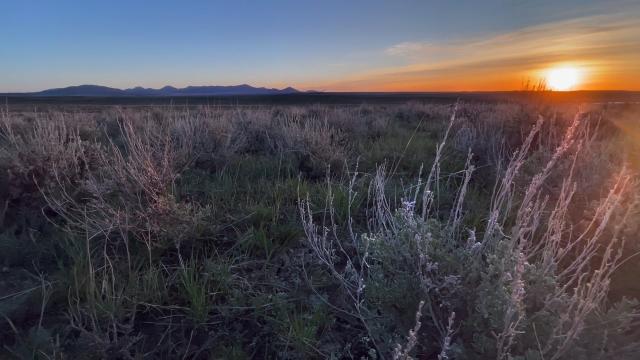 The sun sets over a grassy landscape 