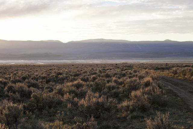 sage-steppe lands with sun rising over distant mountain ridge