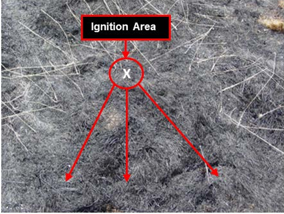 Burned ground with grass stems lying on it, one place labeled "ignition area" with arrows pointing out in four directions