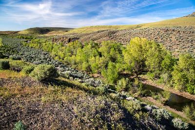 A  green canyon in the high desert