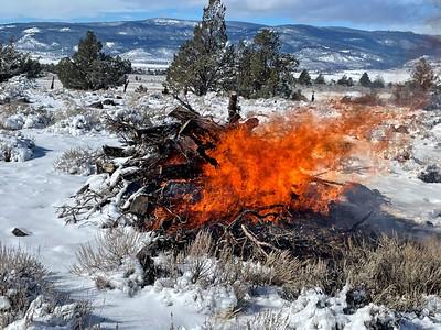 A pile of brush burns in the snow.
