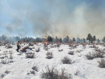 Piles of brush burning in a field  of snow.