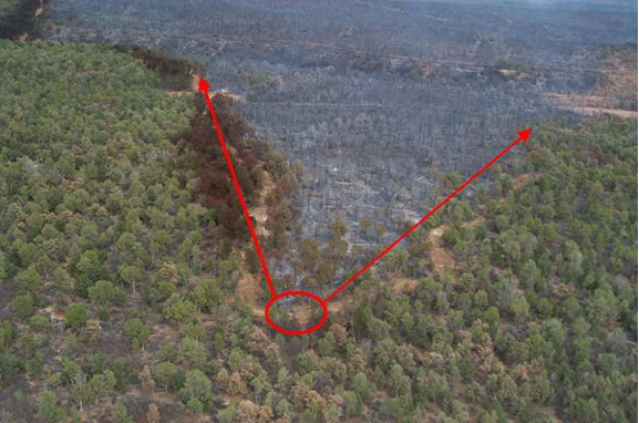 Aerial image of forest with a v-shaped burn pattern illustrated with red pen.