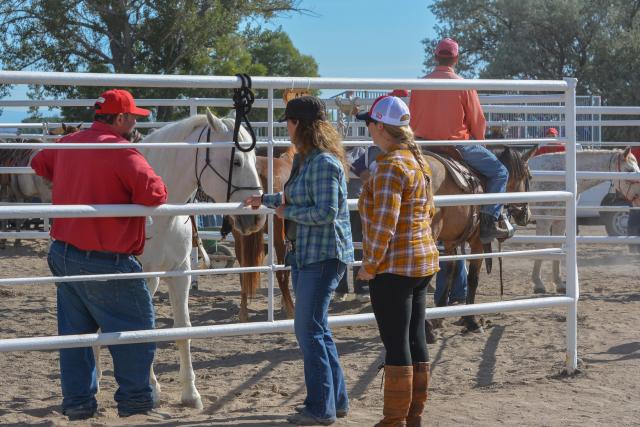 Two people look at a white horse while chatting with a man in a red shirt.