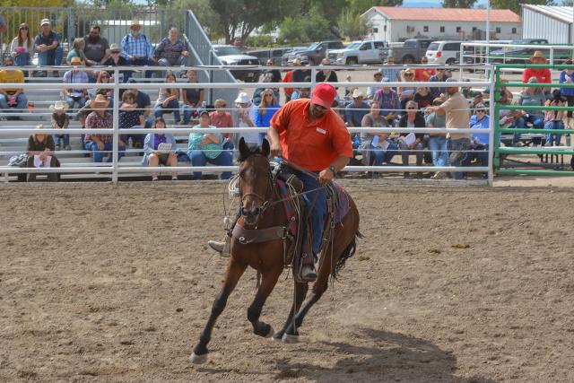 A man in a red shirt rides a brown horse toward the camera while a crowd of people watch from bleachers.