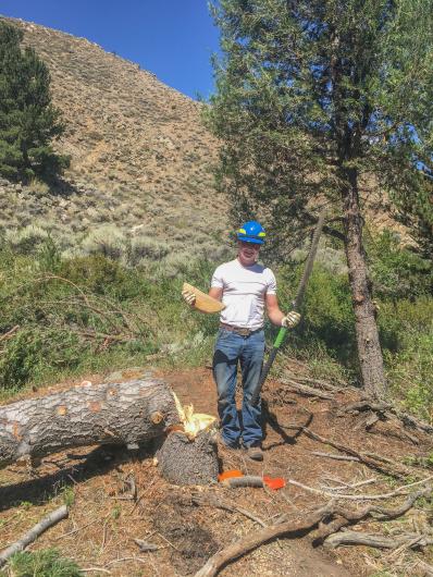 A person wearing a hard hat and holding a handsaw stands next to a tree he has just cut down. 