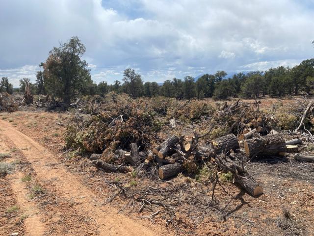 Large logs for firewood are left beside a dirt road for easy pickup.