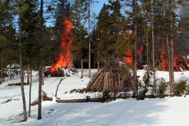 slash pile in the woods on snow on fire for prescribed burns