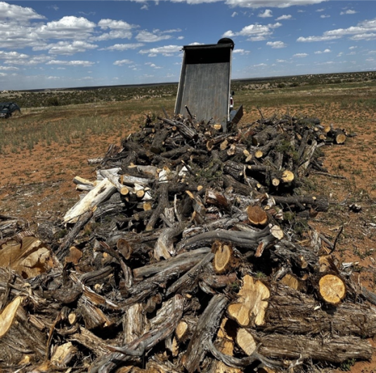 A truck dumps a load of firewood in an arid landscape.