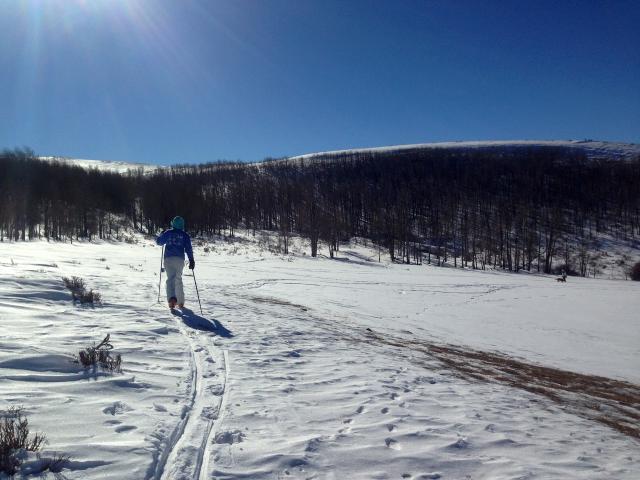 photo of a Skier going up the trail