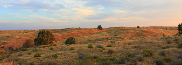 Sunrise on the Juniper Dunes Wilderness Area
