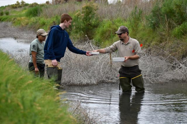 Carl Jacobsen, right, wildlife biologist at the Bitter Lake National Wildlife Refuge, hands Trevor Howe, a natural resource intern in the BLM Roswell Field Office, a survey sample for endangered springsnails and amphipods at the Rio Hondo Spring Run on the refuge in Roswell, New Mexico on July 8.