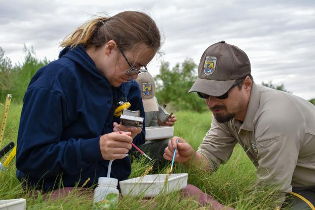 Allison Nelson, left, a natural resource specialist in the BLM Roswell Field Office, and Carl Jacobsen, a wildlife biologist at the Bitter Lake National Wildlife Refuge, examine a survey sample for endangered springsnails and amphipods at the Rio Hondo Spring Run on the refuge in Roswell, New Mexico on July 8.