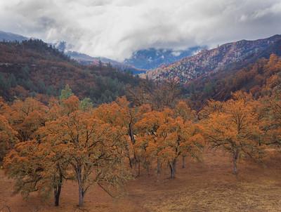 Orange oak trees recede into layers of blue mountains with a storm forming overhead. 