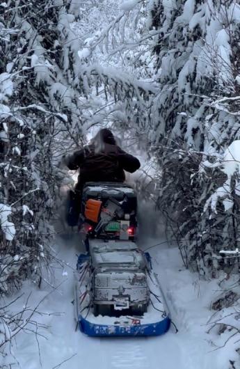 A rider on a snowmobile towing a gear sled, breaks through low-hanging, snow-covered brush.