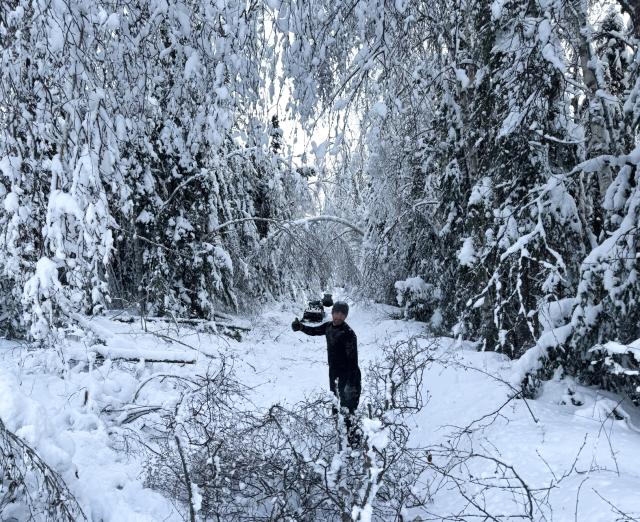 Fallen branches and trees fill the trail as a person works to clear the winter trail. 