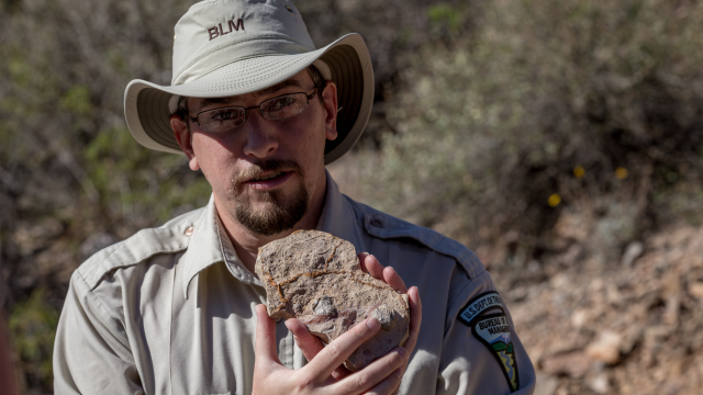 A BLM employee holding a fossil for display.