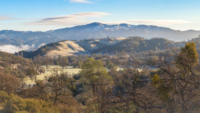 Morning mist over a grassy hill and blue mountain with oaks in the foreground.