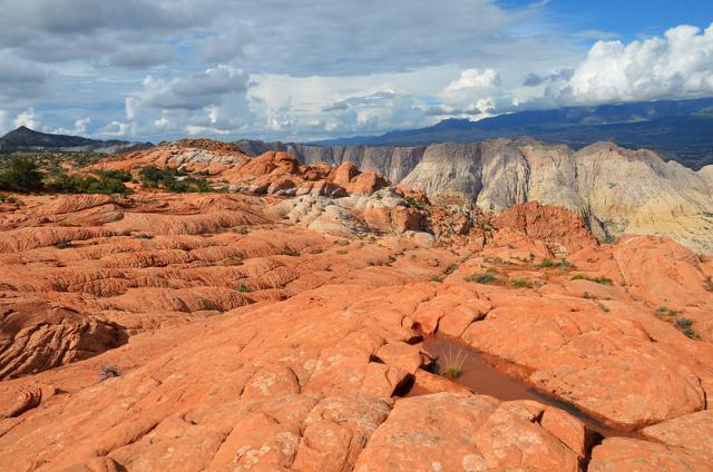 Landscape of the Red Mountain Wilderness in Utah.