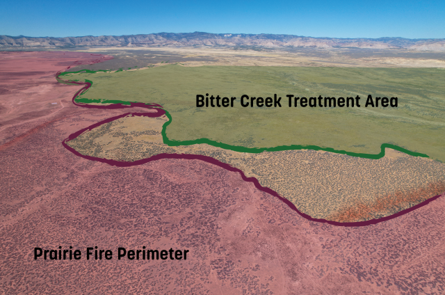 An overhead photo showing the outline of where the fire intersected with the treatment area.