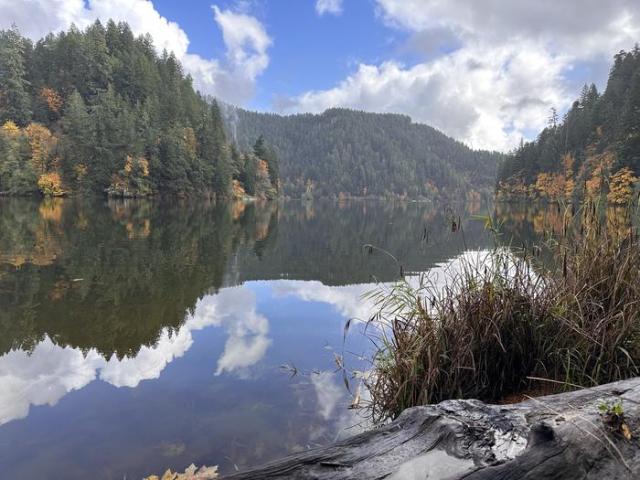 View of Loon Lake from the day use area beach