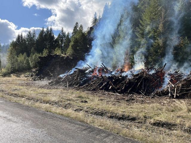  A prescribed fire pile burn on the Roseburg District