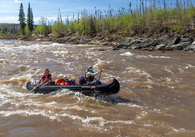 Two women paddle aggressively through medium rapids down a rapid with green spruce trees in the background.