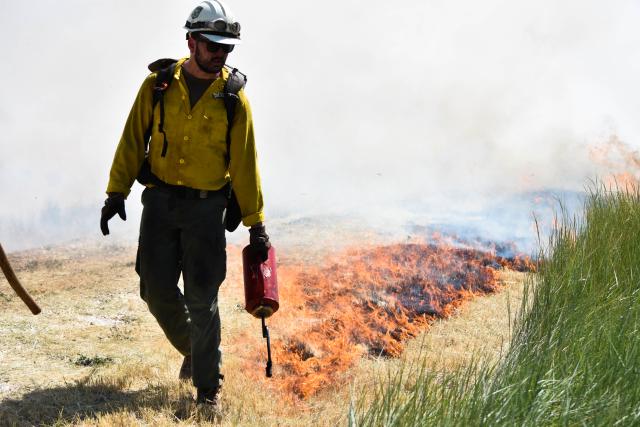 a wildland firefighter ignites dry grass