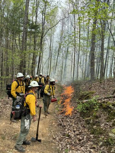 Firefighters stand along the left side of a wooded path, with fire seen burning on the right side.