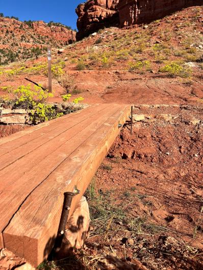 A small walking bridge built by the Johnsons.