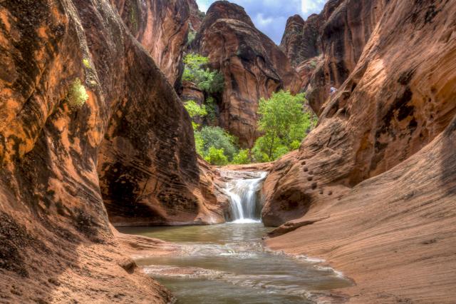 a waterfall and green trees in a red sandstone canyon