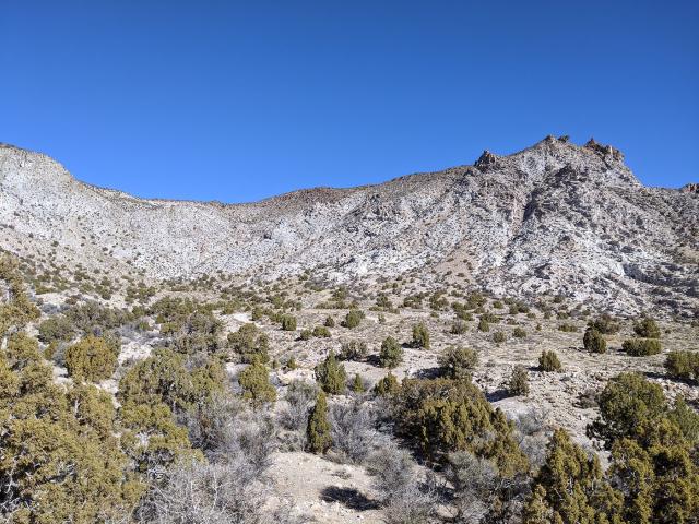 Topaz Mountain Rockhounding area