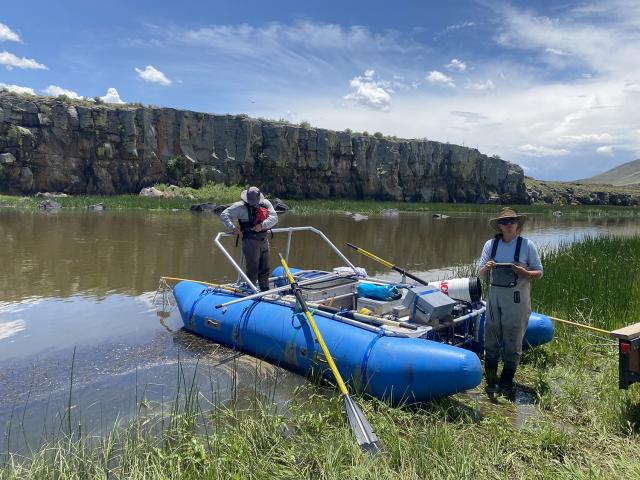 Team members process fish caught in one of the mile-long survey reaches.