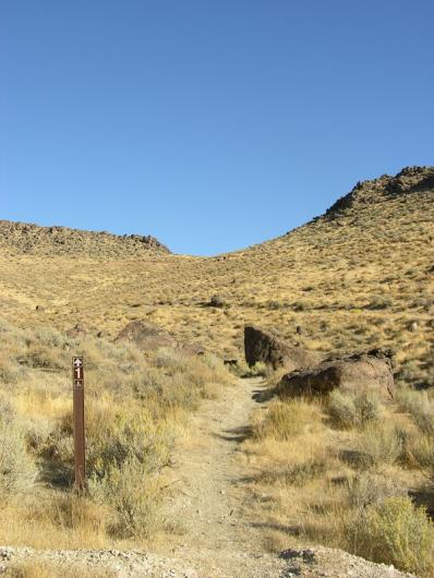 A brown trail marker with the sign 1 next to a dirt path among sagebrush