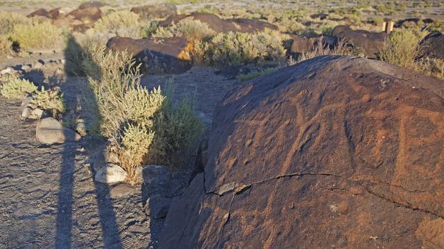 A shadow of a person standing next to a boulder with petroglyph rock art