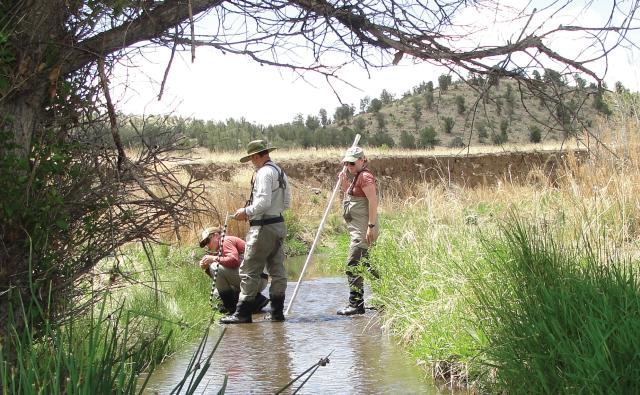 Multiple Indicator Monitoring (MIM) of Stream Channels and Streamside Vegetation Cropped Cover