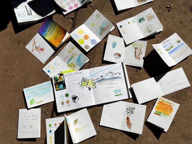 a compilation of nature journals laid on the ground