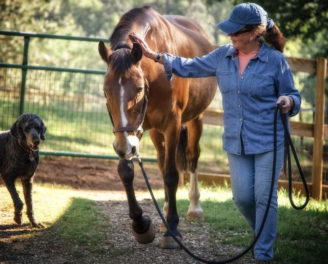 A person with a horse and a dog