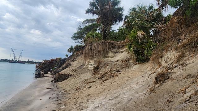 Eroded sandy beach with palm trees, exposed roots, and scattered debris, under a cloudy sky with construction cranes in the background.