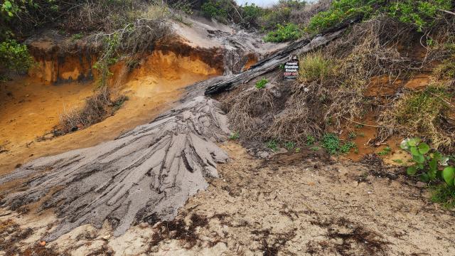 Image shows sand and soil eroding onto shoreline