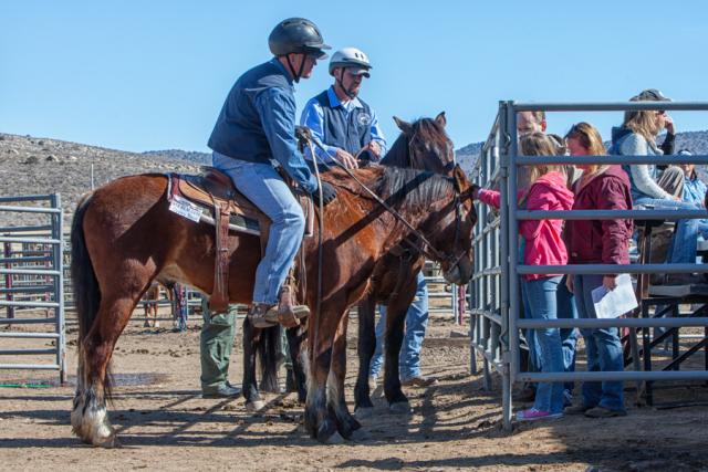 Inmate trainers on horses in a pen, with public looking.
