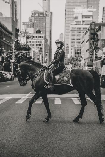A black and white photo of an officer on a horse crossing a street in New York City
