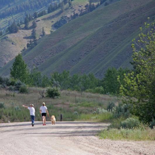 A photo showing a dirt road curving to the right. Two people are walking down the road walking a golden retriever on a leash. The young boy is pointing to the left. In the background are steep hills, grasses, and trees.  