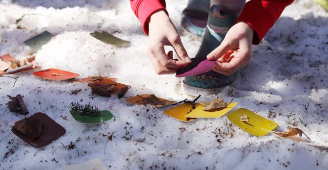 Person places nature items on color swatches on snowy ground