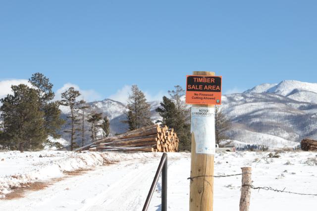 Timber sale operations on BLM-managed lands help to offset some of the costs of the Good Neighbor Authority program. Here, timber is salvaged from a GNA project on Poncha Pass.