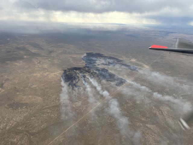 a wildfire from above with a straight line where it has burned next to a road