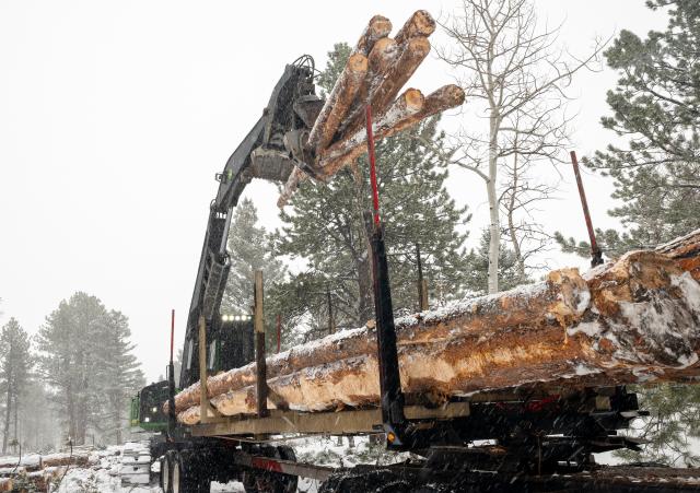 Contractors load salvage timber from Poncha Pass on to a truck to be processed at local mills.
