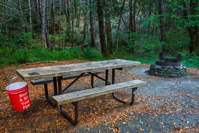 A rustic wooden picnic table with benches sits in a forest campsite, next to a red bucket labeled “Soak & Stir Your Fire” and a stone-ringed metal fire pit. The area is surrounded by tall trees and lush green ferns, with fallen leaves scattered on the ground.